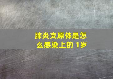 肺炎支原体是怎么感染上的 1岁